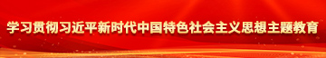 大自慰逼水喷出网站学习贯彻习近平新时代中国特色社会主义思想主题教育